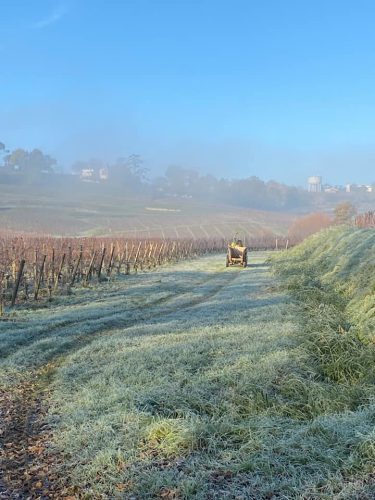 473078648_2975040302669205_3939301557859404731_n