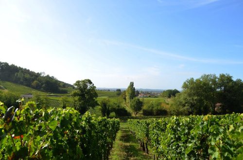 chateau-la-grangere 1